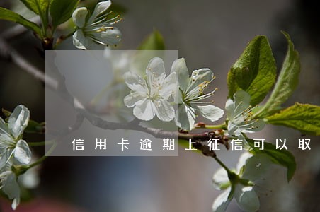 信用卡逾期上征信可以取消吗 信用卡逾期上征信可以取消吗