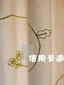 信用卡逾期上征信可以开办公司吗 信用卡逾期上征信可以开办公司吗