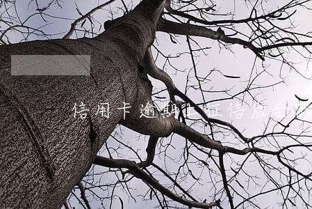 信用卡逾期上征信后会怎样 信用卡逾期上征信后会怎样