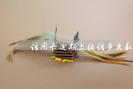 信用卡逾期上征信多久取消 信用卡逾期上征信多久取消