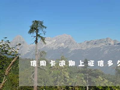 信用卡逾期上征信多久可以消