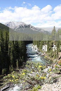 信用卡逾期上征信多久才消 信用卡逾期上征信多久才消