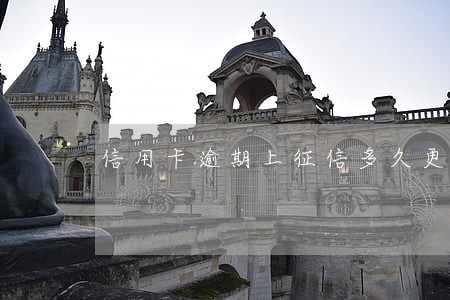 信用卡逾期上征信多久更新 信用卡逾期上征信多久更新