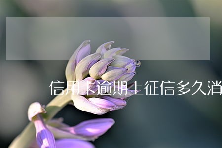 信用卡逾期上征信多久消失 信用卡逾期上征信多久消失