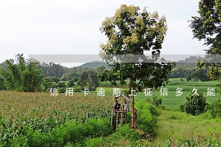信用卡逾期上征信多久能洗白 信用卡逾期上征信多久能洗白