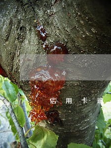信用卡逾期上征信多久能解除