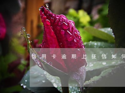 信用卡逾期上征信如何查询