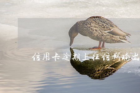信用卡逾期上征信影响出行吗