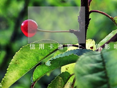 信用卡逾期上征信影响房产吗 信用卡逾期上征信影响房产吗