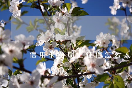 信用卡逾期上征信怎么人工消除 信用卡逾期上征信怎么人工消除
