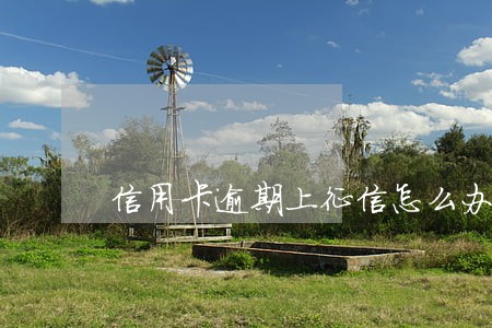 信用卡逾期上征信怎么办视频