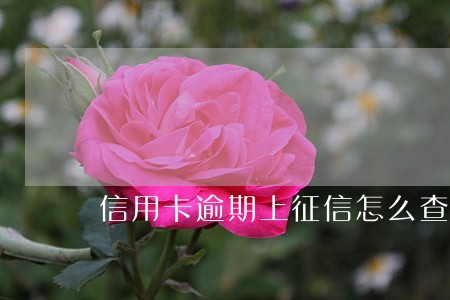 信用卡逾期上征信怎么查询 信用卡逾期上征信怎么查询
