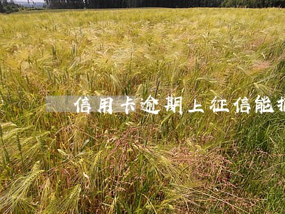 信用卡逾期上征信能撤销么 信用卡逾期上征信能撤销么