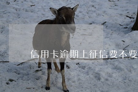 信用卡逾期上征信要不要