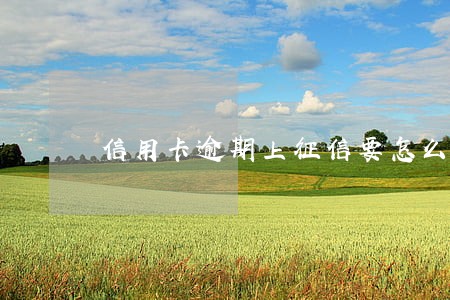 信用卡逾期上征信要怎么消除 信用卡逾期上征信要怎么消除