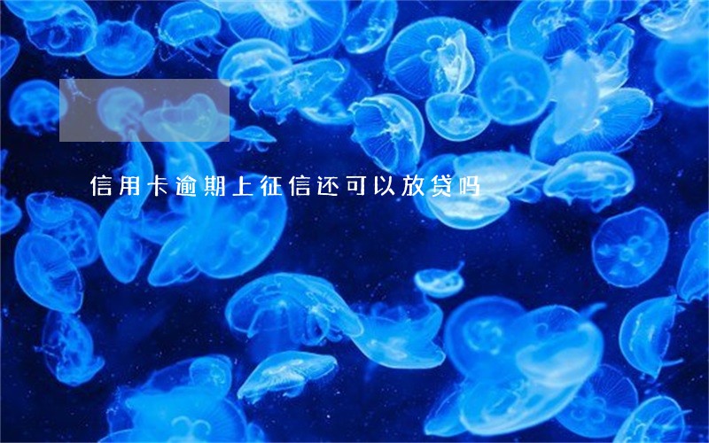 信用卡逾期上征信还可以放贷吗