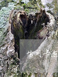 信用卡逾期上征信还有救么