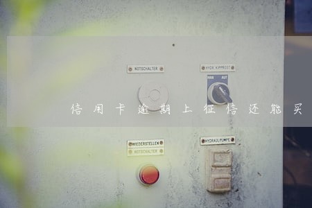 信用卡逾期上征信还能买房 信用卡逾期上征信还能买房
