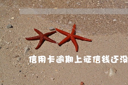 信用卡逾期上征信钱还没还完 信用卡逾期上征信钱还没还完
