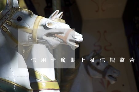 信用卡逾期上征信银监会投诉 信用卡逾期上征信银监会投诉
