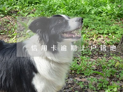 信用卡逾期上户籍地