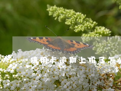 信用卡逾期上报了怎么办 信用卡逾期上报了怎么办