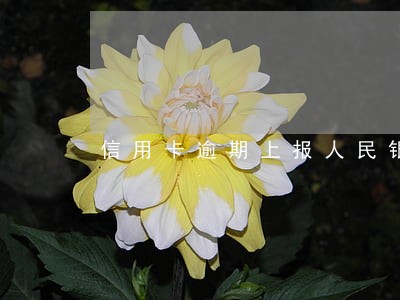 信用卡逾期上报人民银行