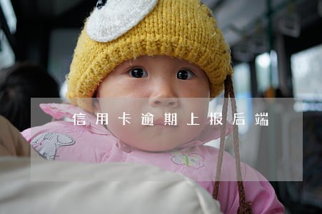 信用卡逾期上报后端