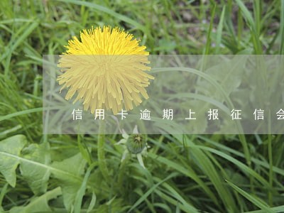 信用卡逾期上报征信会怎么样 信用卡逾期上报征信会怎么样