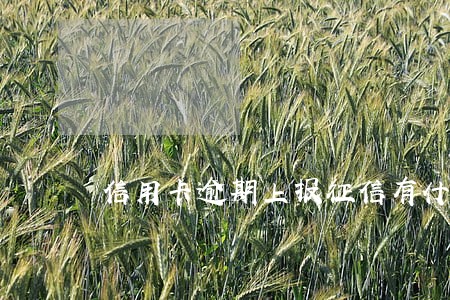 信用卡逾期上报征信有什么影响