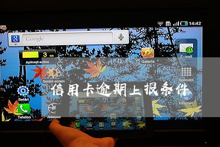 信用卡逾期上报条件 信用卡逾期上报条件