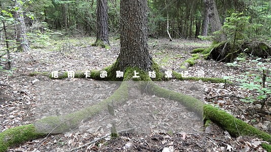 信用卡逾期上档案记录 信用卡逾期上档案记录