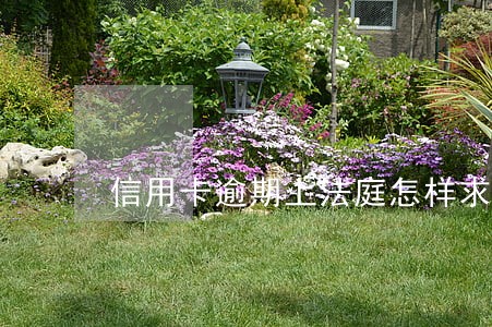 信用卡逾期上法庭怎样求情