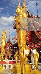 信用卡逾期上法庭要请律师吗 信用卡逾期上法庭要请律师吗