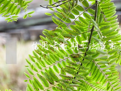 信用卡逾期上法庭需要父母吗 信用卡逾期上法庭需要父母吗