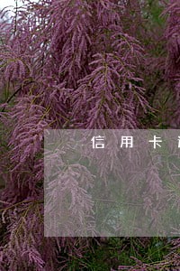 信用卡逾期上海经侦 信用卡逾期上海经侦