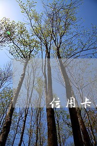 信用卡逾期上瘾