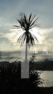信用卡逾期上的征信多久会消除 信用卡逾期上的征信多久会消除