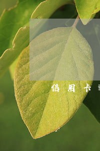 信用卡逾期上网会不会被捉