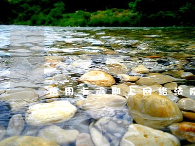 信用卡逾期上网络法院 信用卡逾期上网络法院