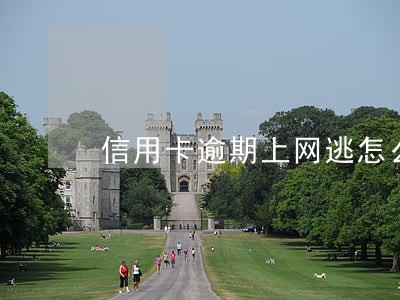 信用卡逾期上网逃怎么查 信用卡逾期上网逃怎么查
