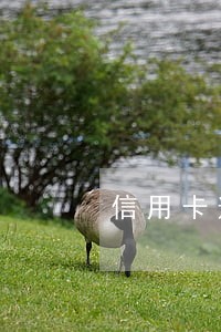信用卡逾期上诉前还完 信用卡逾期上诉前还完