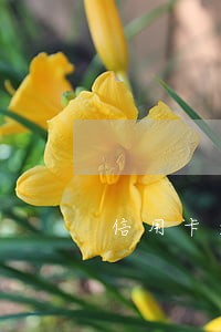 信用卡逾期上诉后多久会立案 信用卡逾期上诉后多久会立案