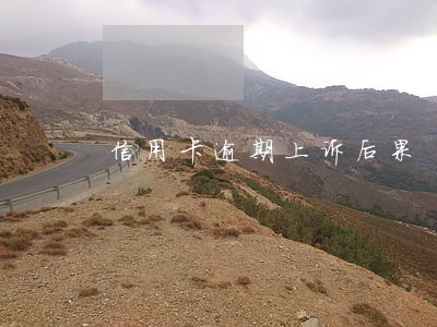 信用卡逾期上诉后果 信用卡逾期上诉后果