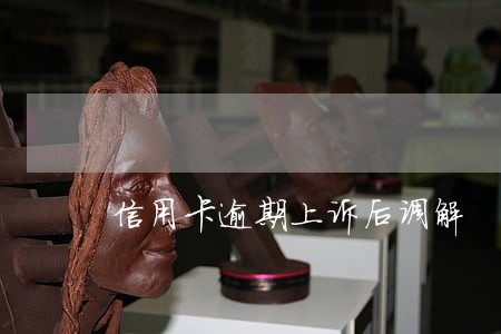 信用卡逾期上诉后调解