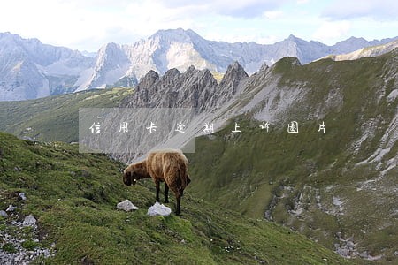 信用卡逾期上诉图片 信用卡逾期上诉图片