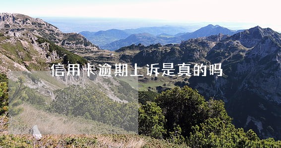 信用卡逾期上诉是真的吗