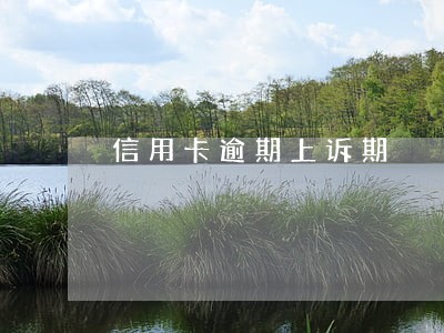 信用卡逾期上诉期