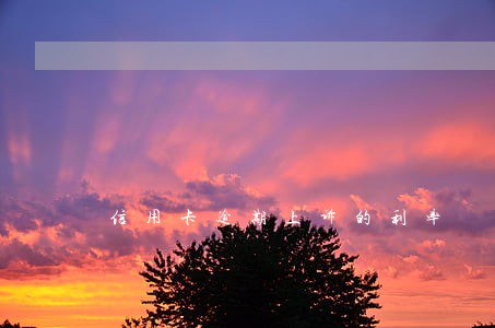 信用卡逾期上诉的利率 信用卡逾期上诉的利率