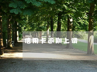 信用卡逾期上调 信用卡逾期上调